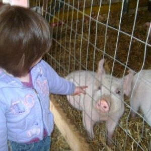 Lucy meeting her first real piggy